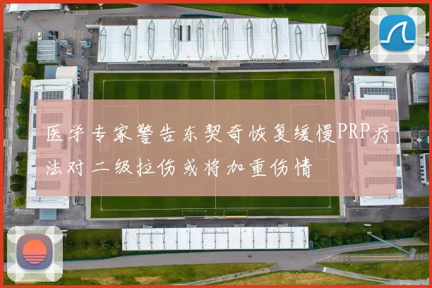 医学专家警告东契奇恢复缓慢PRP疗法对二级拉伤或将加重伤情