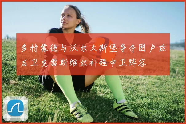 多特蒙德与沃尔夫斯堡争夺图卢兹后卫克雷斯维尔补强中卫阵容
